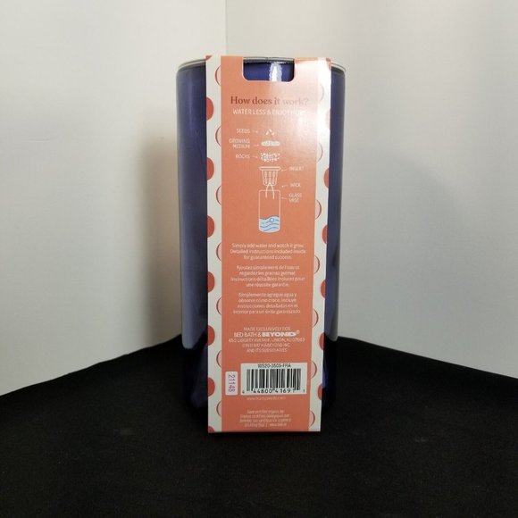 Wild Sage™ Self-Watering Hydroponic Oregano Blue Glass Vase Grow Kit - Picture 2 of 3